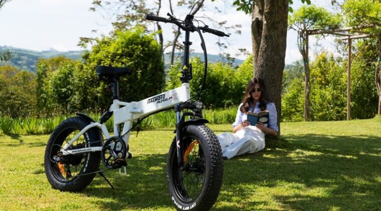 アウレリア・エックス