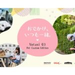 Votani Q3 Pet Custom Edition