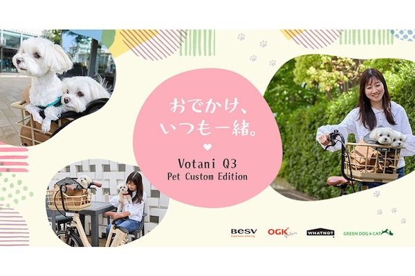 Votani Q3 Pet Custom Edition