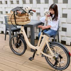 Votani Q3 Pet Custom Edition